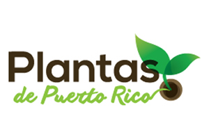 Planta's